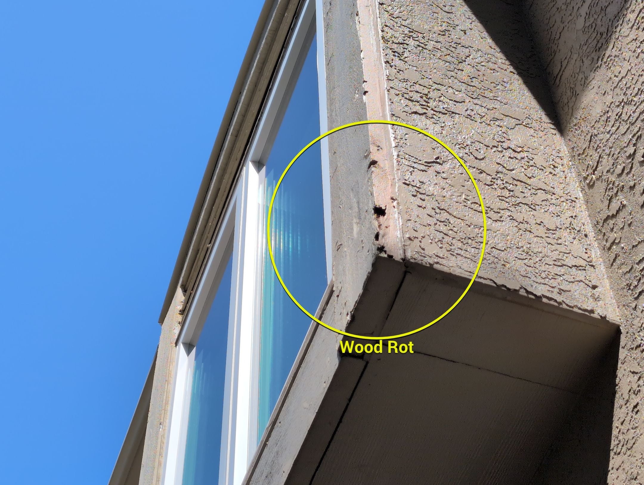 Wood Rot Repair Services in Lenexa