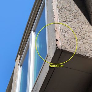 Wood Rot Repair Services in Lenexa